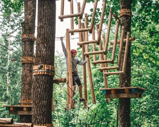 Adventure park ropes course through forest canopy